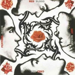 RED HOT CHILI PEPPERS - BLOOD,SUGAR,SEX,MAGIK - 2LP