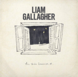 LIAM GALLAGHER - ALL YOU'RE DREAMING OF - LP (SINGLE WHITE)