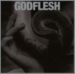 GODFLESH - PURGE (SILVER) - LP