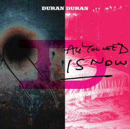 DURAN DURAN - ALL YOU NEED IS NOW - 2LP