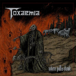 TOXAEMIA - WHERE PATHS DIVIDE - CD